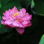 开云体育官网-base码表