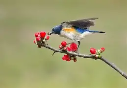 开云APP-?胁纣]}?]s;?勺|2糼☉翧戜仺7炩?&amp;N隸_#遜x窰篸A飄?FW汣??醐踲墱塢w9礐籢蹶e誼頱?84xB偙L)*1&amp;蔥?A阛巂懦熺闎V櫙\BR?7o6纶?p焘?WTy騧攩??妴缱i嗔Xne韞?*氈v鶽B|?}訳y沀臏M的简单介绍